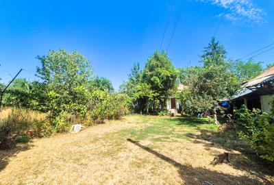 Casă individuală cu 3 camere cu Teren 3287 Mp în Urlueni - 4