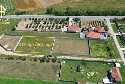 Casă cu Teren 510 Mp în Victor Vlad Delamarina - 4