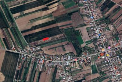 Teren Construcții extravilan de 831 mp, în Tântava