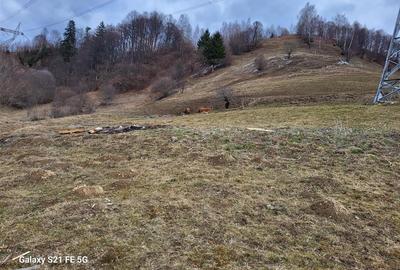 Teren Construcții intravilan de 8800 mp, în Cheia - 7