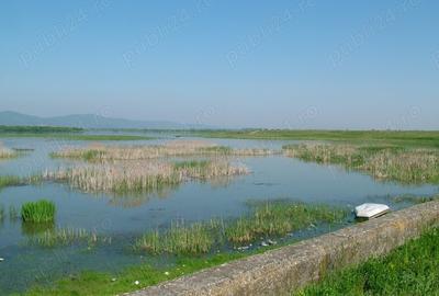 Teren de 8000 mp, în Drăgoești - 1