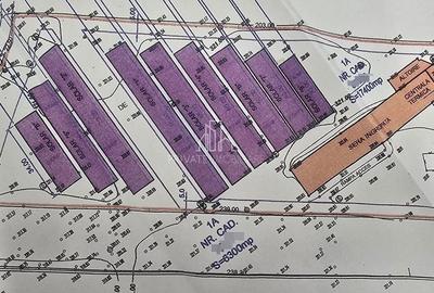 Teren Construcții intravilan de 23700 mp, în Sângeorgiu de Mureș - 1