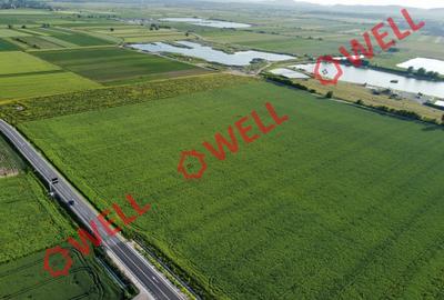 Teren agricol extravilan de 45000 mp, în Chichiș - 2