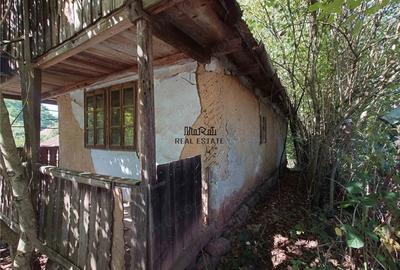Casă cu Teren 9223 Mp în Baia de Criș - 5