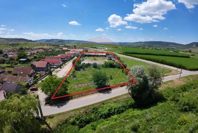 Teren de 7929 mp, în Daneș - 2