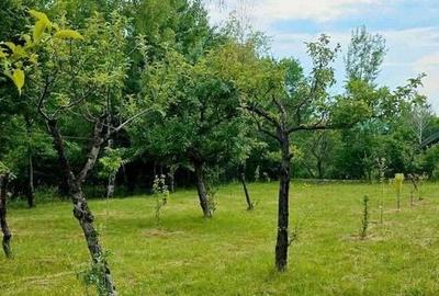 Casă cu 3 camere în Racovița
