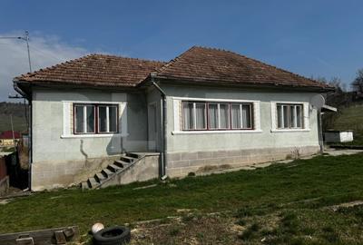 Casă individuală cu 3 camere cu Canalizare în Exterior Est