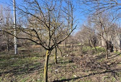 Casă în Brâncoveanca