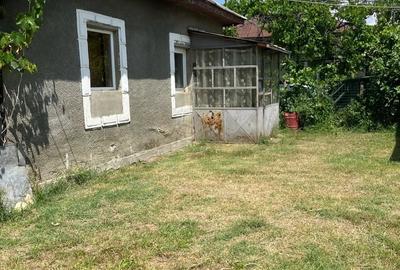 Casă cu Teren 3600 Mp în Coada Izvorului