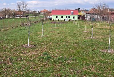 Casă cu 3 camere în Miersig - 4