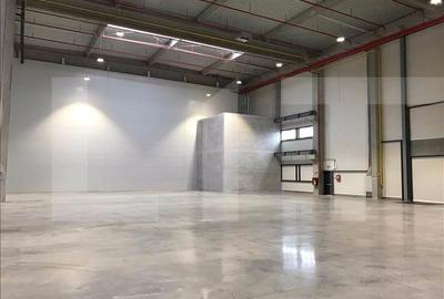 Spațiu industrial, de 2,700 mp, în Someșeni
