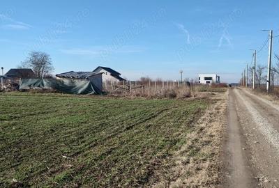 Teren de 700 mp, în Odăile - 10