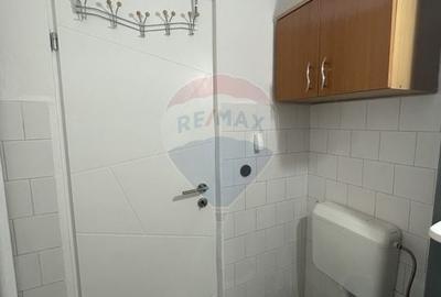 Apartament cu 1 camere semidecomandat, mobilat în Micălaca - 6