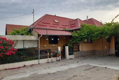 Casă cu 2 camere în Răscruci - 8