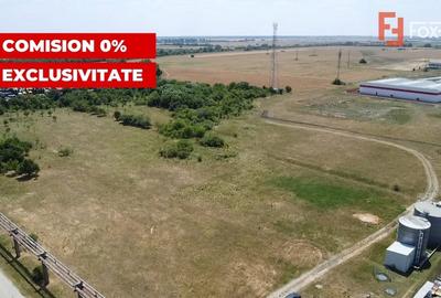 Teren Construcții intravilan de 5000 mp, în Șagului - 4
