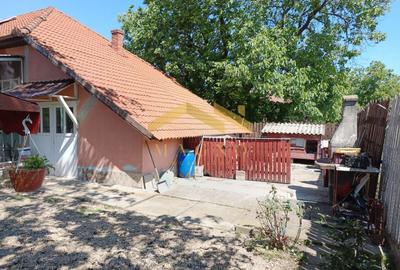 Casă individuală cu 5 camere cu Canalizare în Vladimirescu - 42