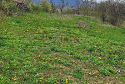 Teren de 2440 mp, în Șerbănești (Sălătrucel) - 1