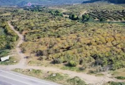 Teren de 380 mp, în Feleacu - 1