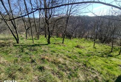 Teren de 2500 mp, în Central