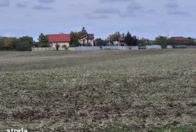 Teren de 400 mp, în Balotești - 6