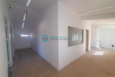 Spațiu industrial, de 260 mp, în Vest - 7