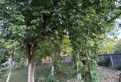 Casă cu 5 camere cu Teren 800 Mp în Central