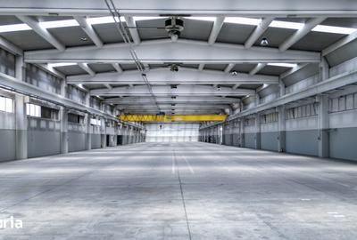 Spațiu comercial, de 27,174 mp, în Giroc - 14