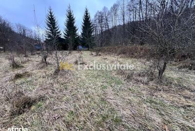 Teren de 6500 mp, în Morărești