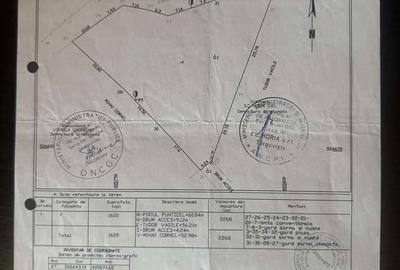 Teren de 1620 mp, în Râu Alb - 3