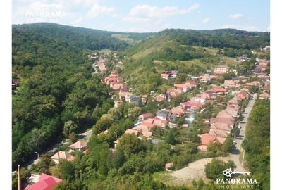 Teren Construcții intravilan de 809 mp, în Nord - 8