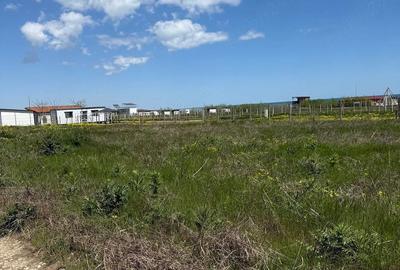 Teren de 500 mp, în Corbu - 7