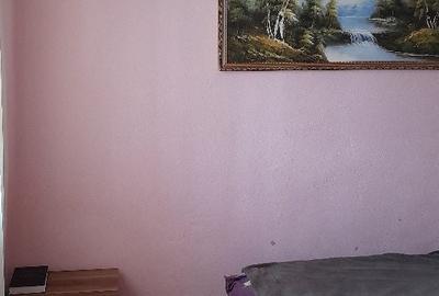 Apartament cu 2 camere semidecomandat în Traian - 3