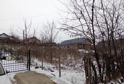 Teren de 1490 mp, în Secuia