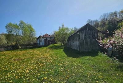 Teren de 3000 mp, în Dăești - 3