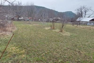 Teren în Câmpuri - 2