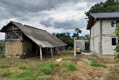 Casă individuală cu 4 camere cu Teren 1034 Mp în Ibrianu - 9