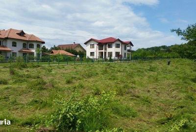 Teren de 3665 mp, în Păulești - 1