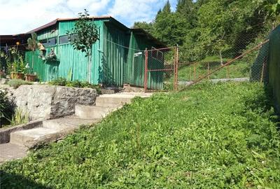 Casă cu 4 camere cu Teren 160 Mp în Anina - 11