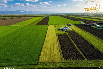 Teren de 2498 mp, în Central - 4