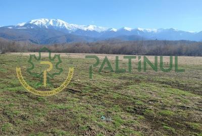 Teren de 1737 mp, în Chirpăr - 5