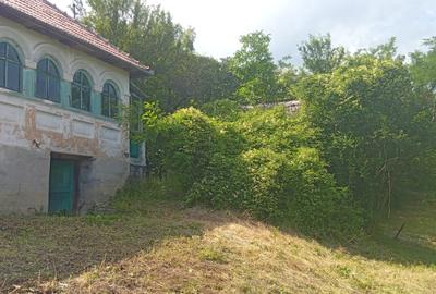Casă individuală cu 5 camere cu Teren 9515 Mp în Șerbănești (Sălătrucel)