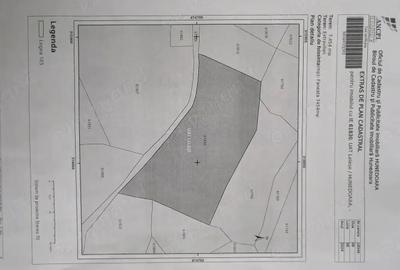 Teren de 7454 mp, în Runcu Mare - 3