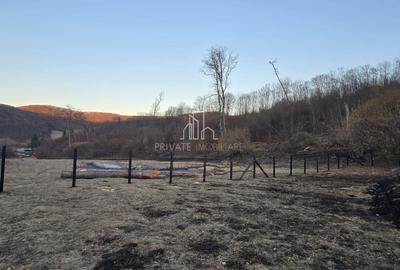 Teren agricol extravilan de 20 mp, în Daneș - 16