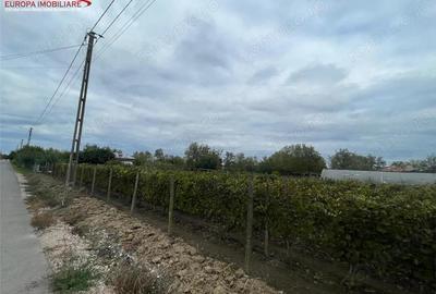 Teren de 1000 mp, în Iazurile - 11