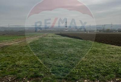 Teren Construcții intravilan de 500 mp, în Partoș - 3
