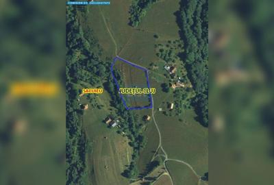 Teren de 8335 mp, în Vișagu