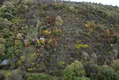 Teren de 18300 mp, în Ghioroc - 6