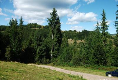 Teren de 1507 mp, în Arieșeni