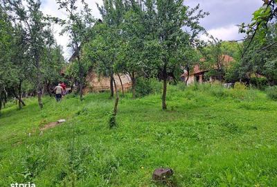 Casă cu 2 camere cu Teren 15000 Mp în Finiș - 4