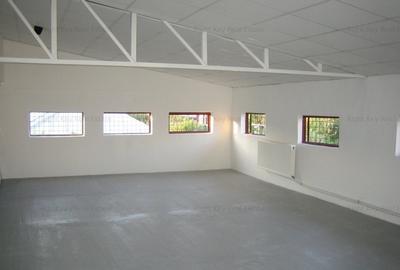 Spațiu comercial, de 600 mp, în Central - 1